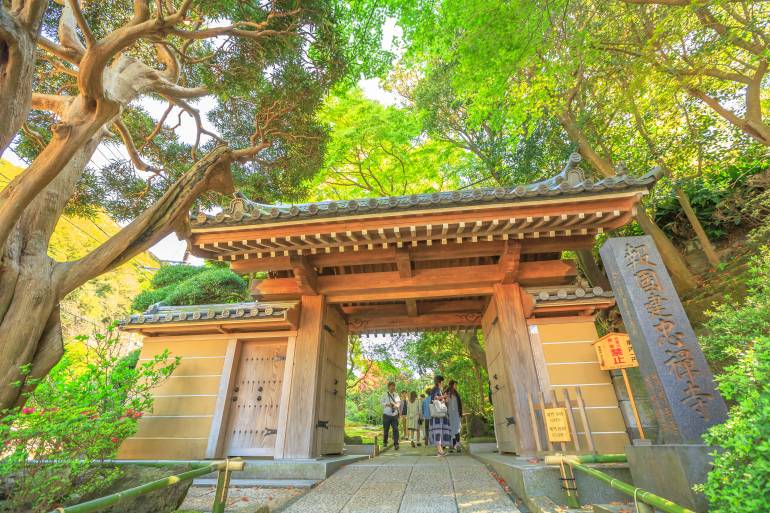 1-Day Express Kyoto Tour