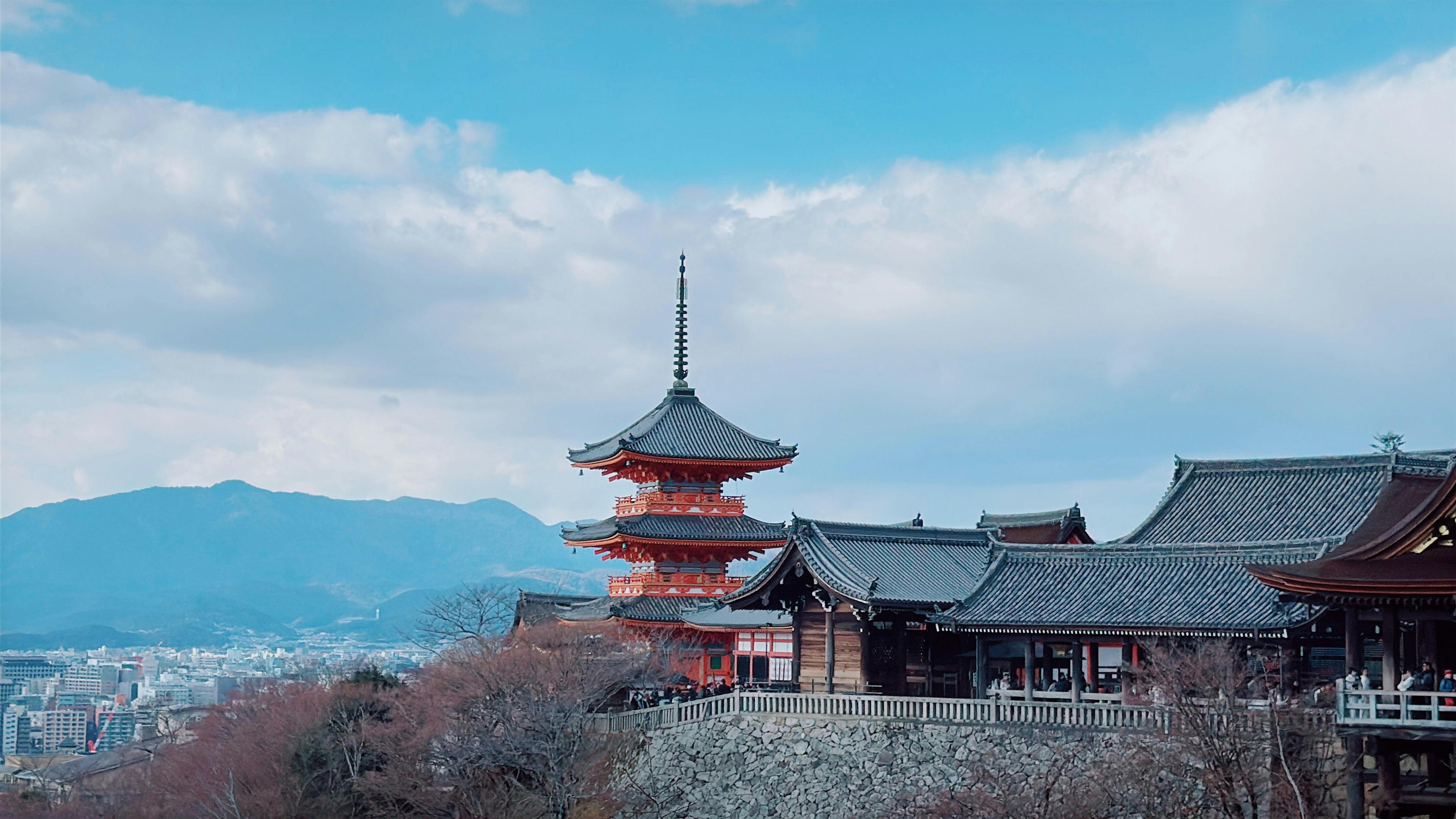 1-Day Express Kyoto Tour