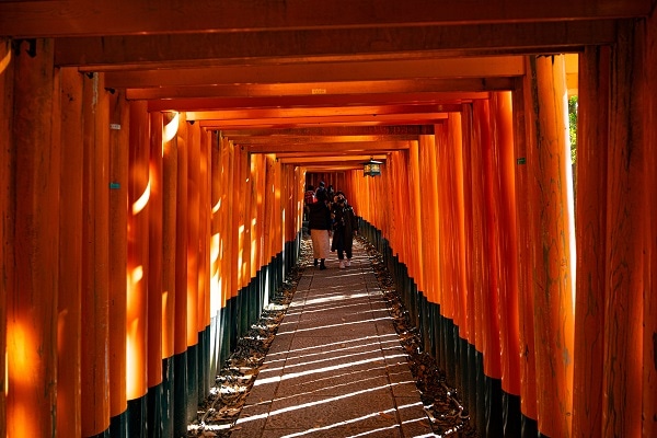 Golden Journey for 6 days